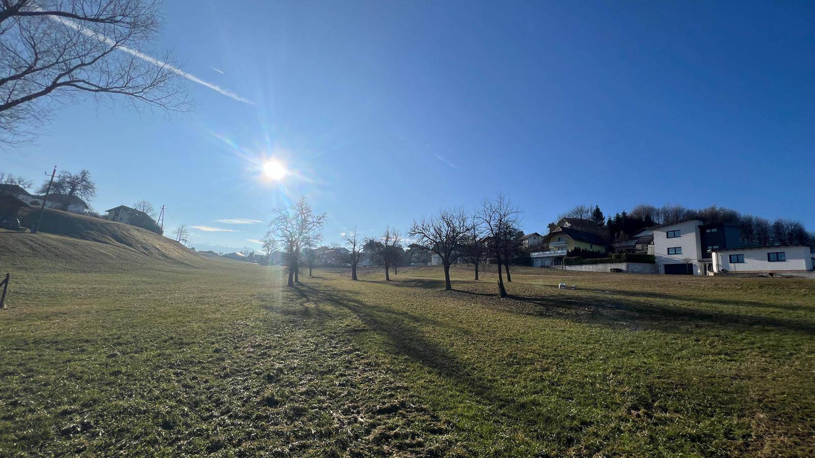Sonnige Winterlandschaft mit kahlen Bäumen und Häusern am Horizont.
