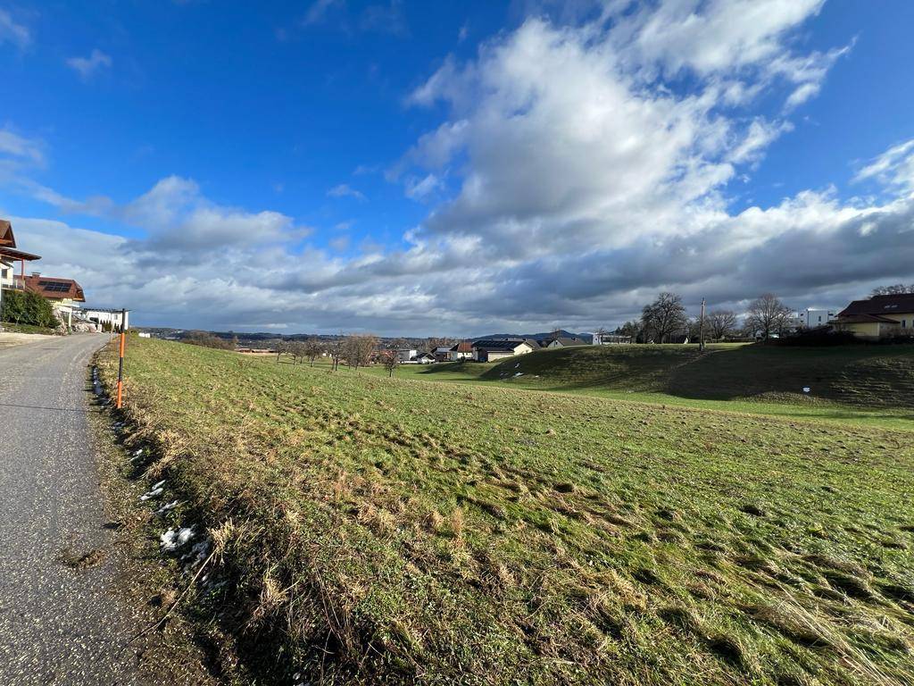 Grünes Feld neben einer Straße mit Häusern in der Ferne unter bewölktem Himmel.