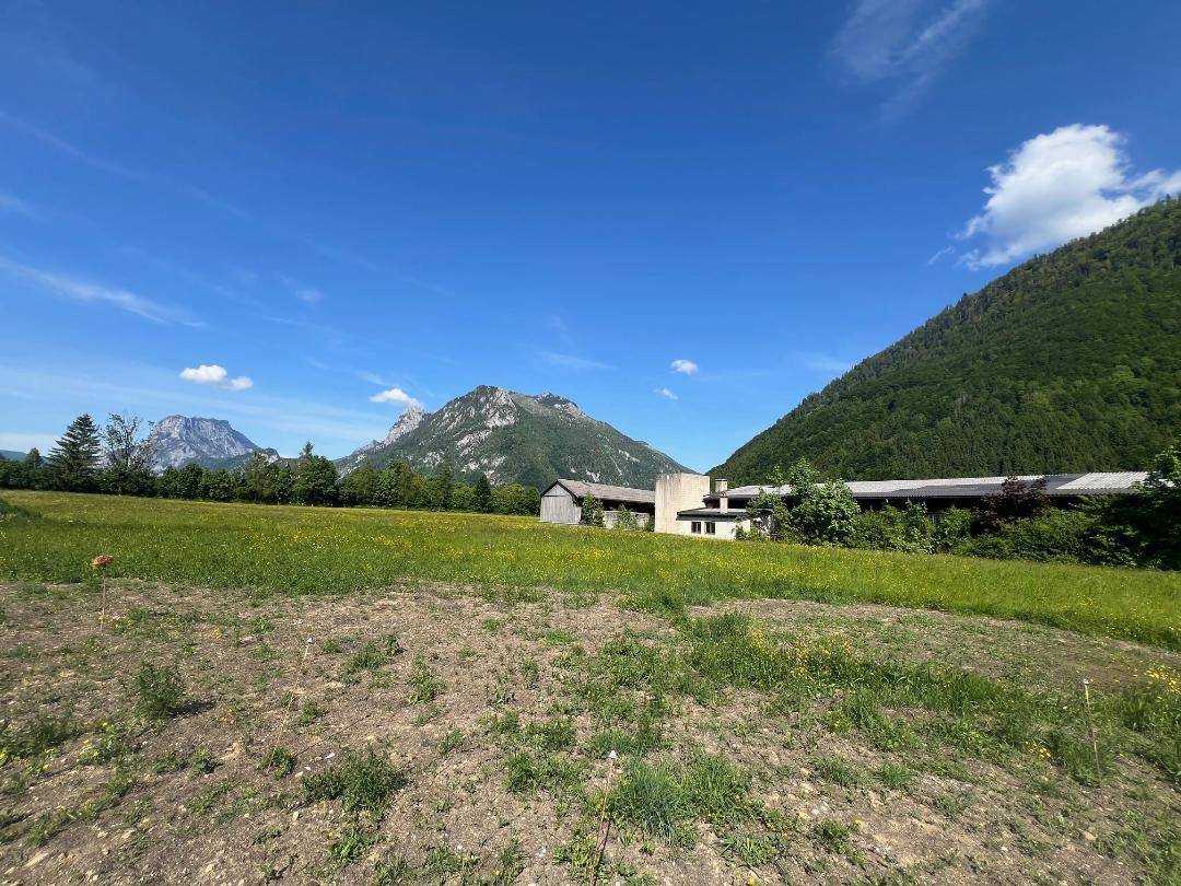 Panoramablick über eine blühende Wiese mit Bergen und einigen Gebäuden in der Ferne.