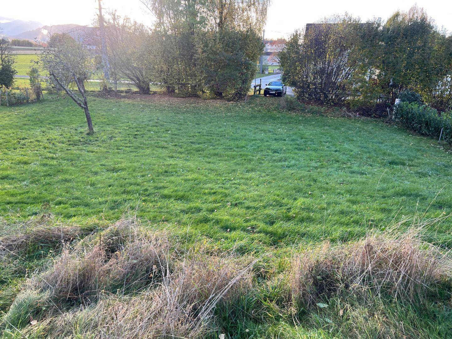 Weitläufige grüne Wiese mit Bäumen und einem Auto im Hintergrund, bei Tageslicht.