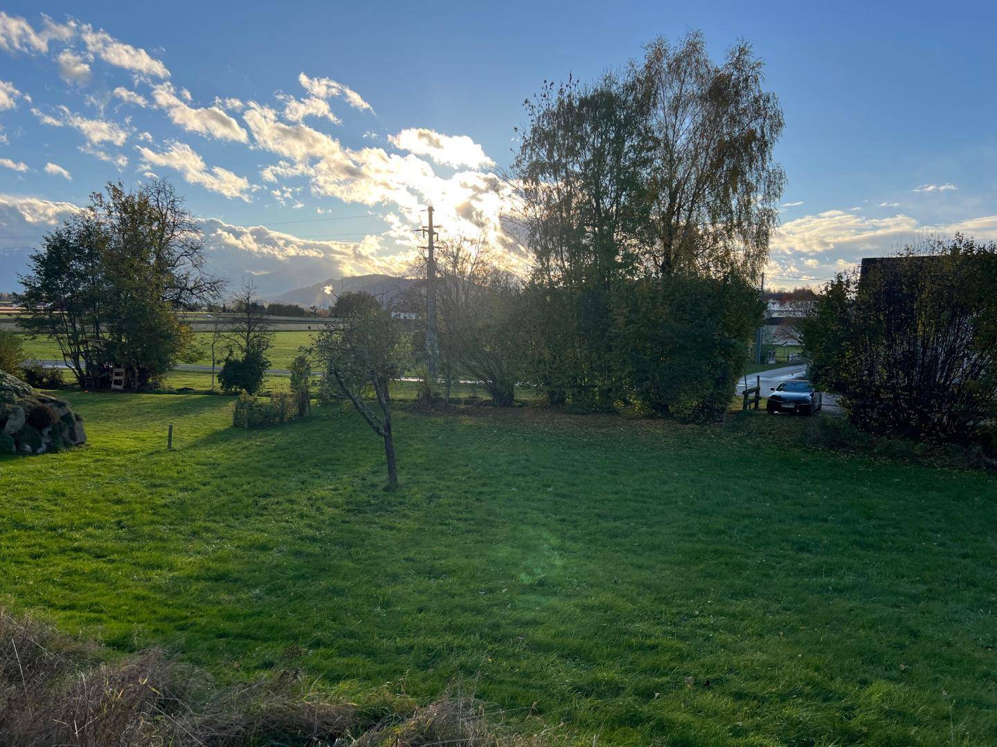 Sonnige Wiesenlandschaft mit Bäumen und einem Auto im Hintergrund, unter blauem Himmel.
