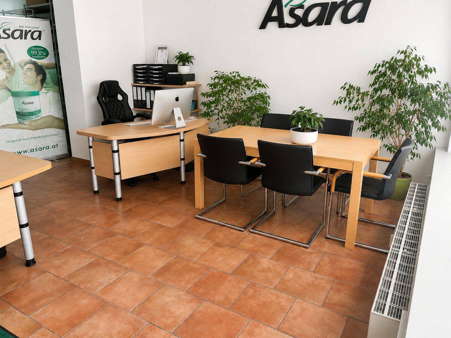 Helles Büro mit Schreibtisch, Besprechungstisch, Bürostühlen und großen Pflanzen als Dekoration.