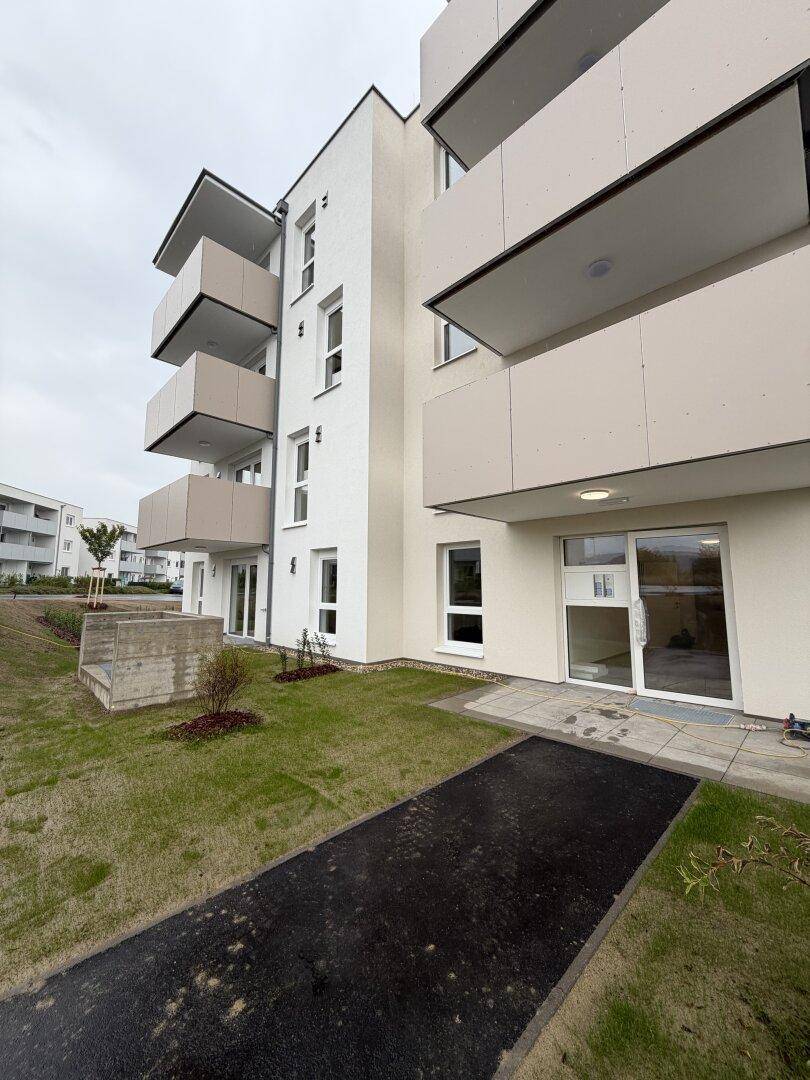 Neubau-Fassade mit Balkonen, Rasenfläche und gepflastertem Zugang.