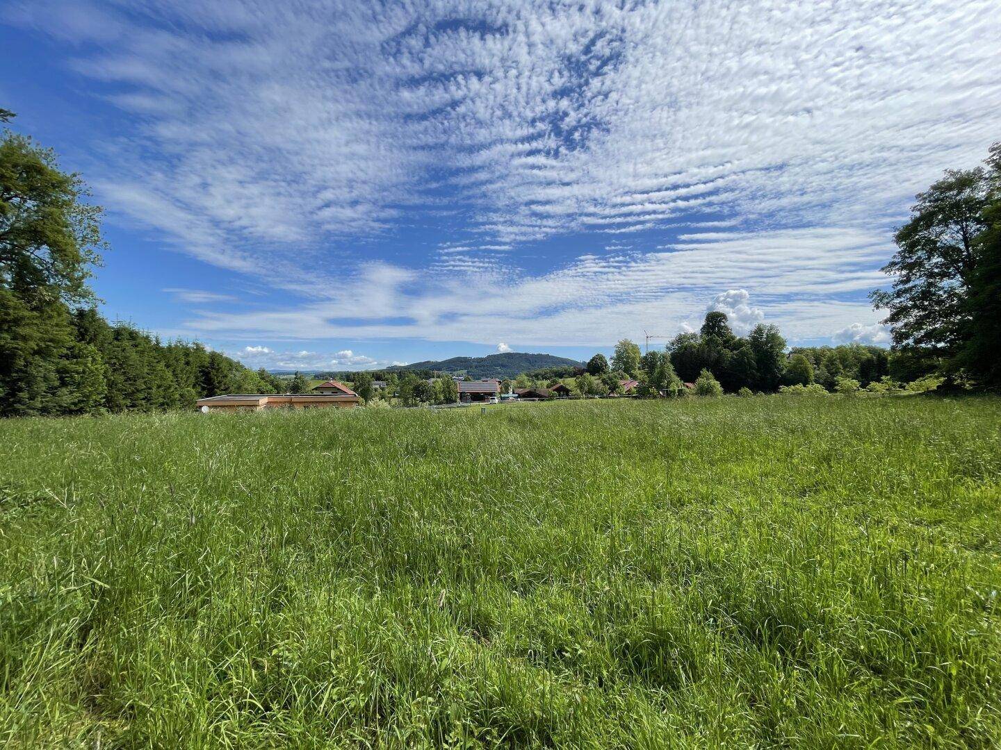 Ausgedehnte grüne Wiese mit Panoramablick auf die umliegende Landschaft und entfernte Gebäude.
