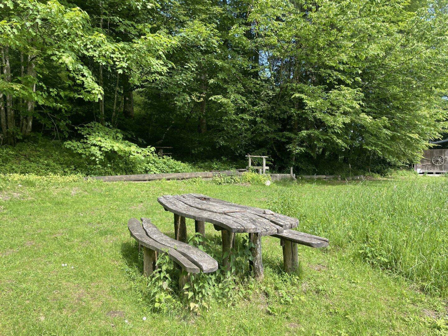 Rustikale Holzsitzgruppe auf einer grünen Wiese, umgeben von Bäumen und Natur.