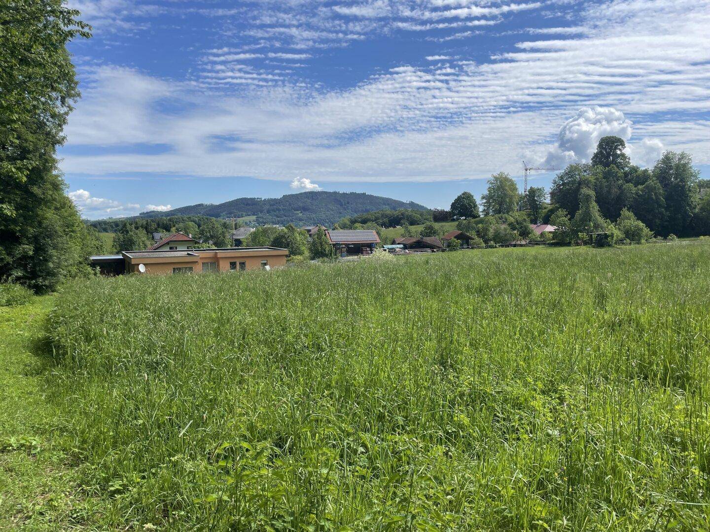Weitläufige grüne Wiese mit Blick auf entfernte Häuser und sanfte Hügel unter einem sonnigen Himmel.