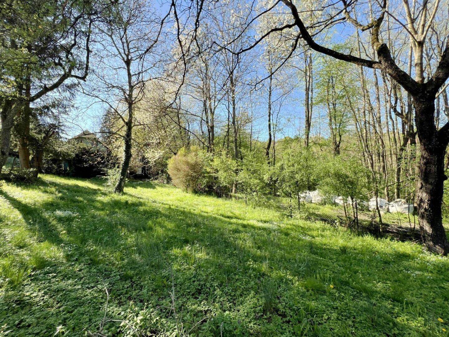 Sonniger Garten mit altem Baumbestand und weitem Blick ins Grüne an einem klaren Tag.