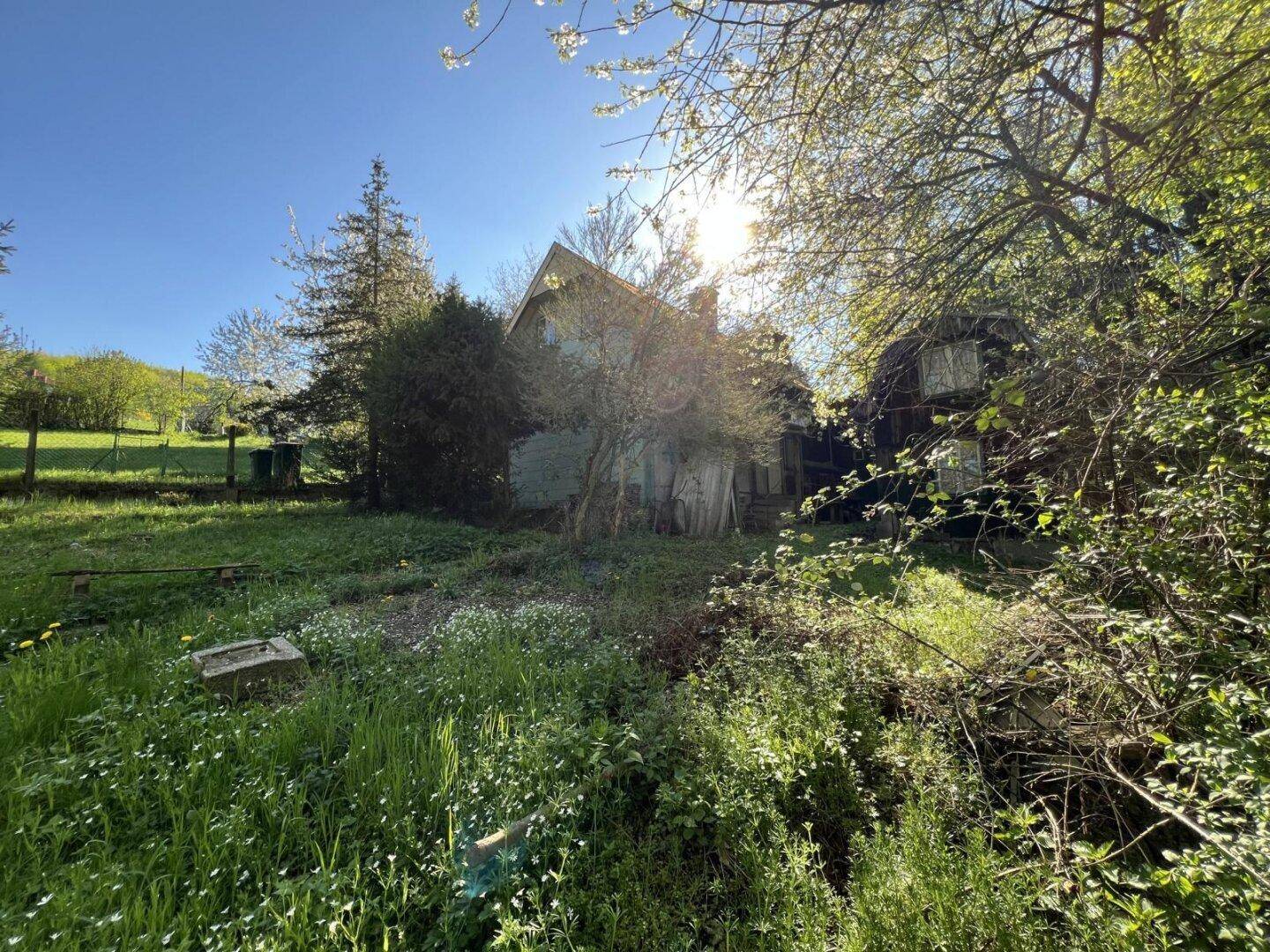 Altes, renovierungsbedürftiges Haus umgeben von dichtem Grün und Bäumen unter strahlendem Sonnenschein.
