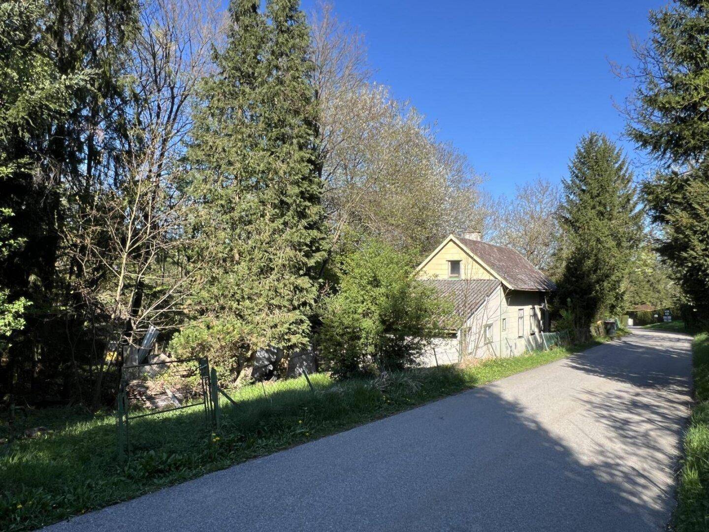 Kleines Haus an einer ruhigen Landstraße, umgeben von Bäumen und viel Grün unter blauem Himmel.