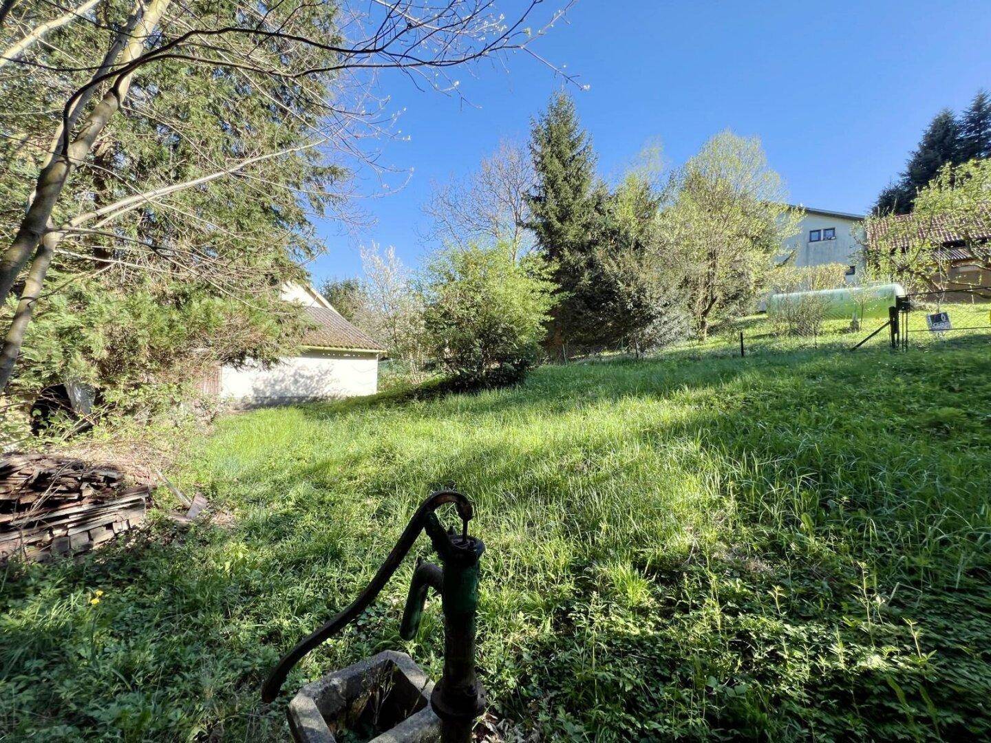 Sonniger Garten mit einer alten Wasserpumpe und einem Haus im Hintergrund, umgeben von Natur.