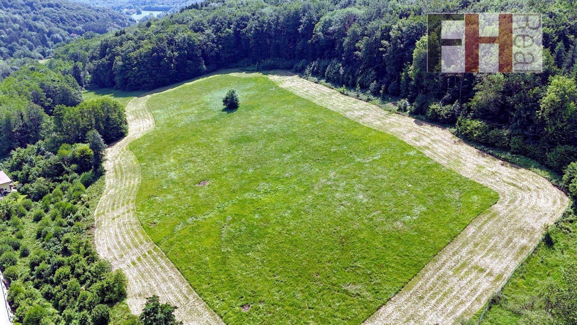 Weitläufige grüne Wiese umgeben von Wald und Hügeln unter blauem Himmel.
