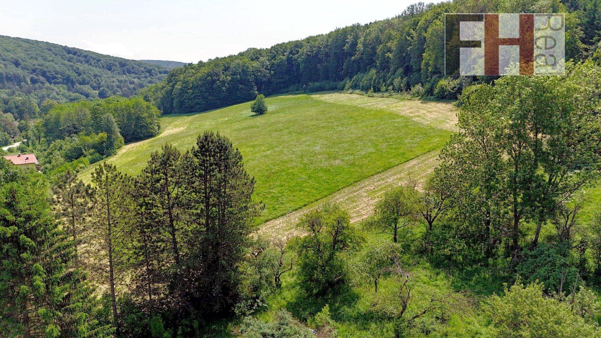 Panoramablick auf die grüne Hügellandschaft mit Wäldern und Feldern unter blauem Himmel.