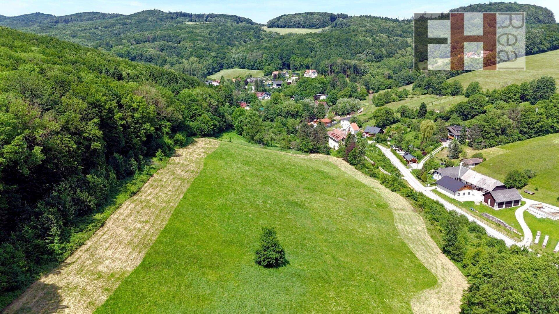 Weitläufige Landschaftsaufnahme mit grünen Feldern, Wäldern und einem kleinen Dorf in der Ferne.