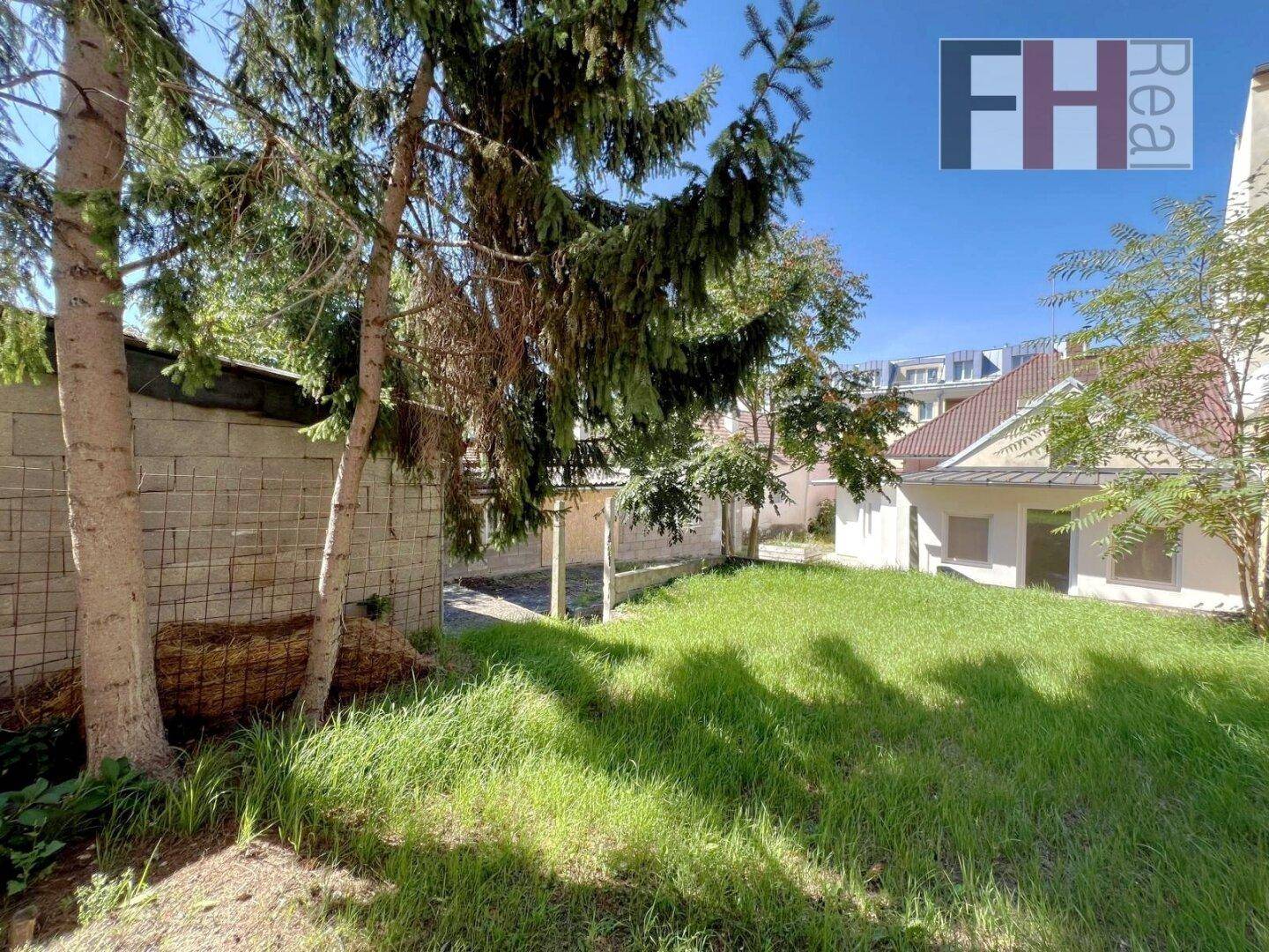 Garten mit hohen Bäumen und einer Betonmauer, die den Bereich abgrenzt, unter hellem Sonnenlicht.
