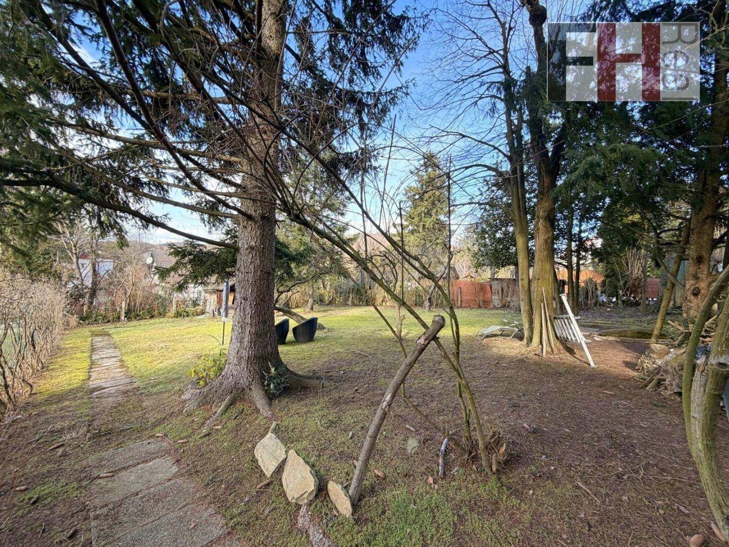 Naturbelassener Garten mit alten Bäumen, Rasen und einem Steinpfad unter strahlendem Himmel.
