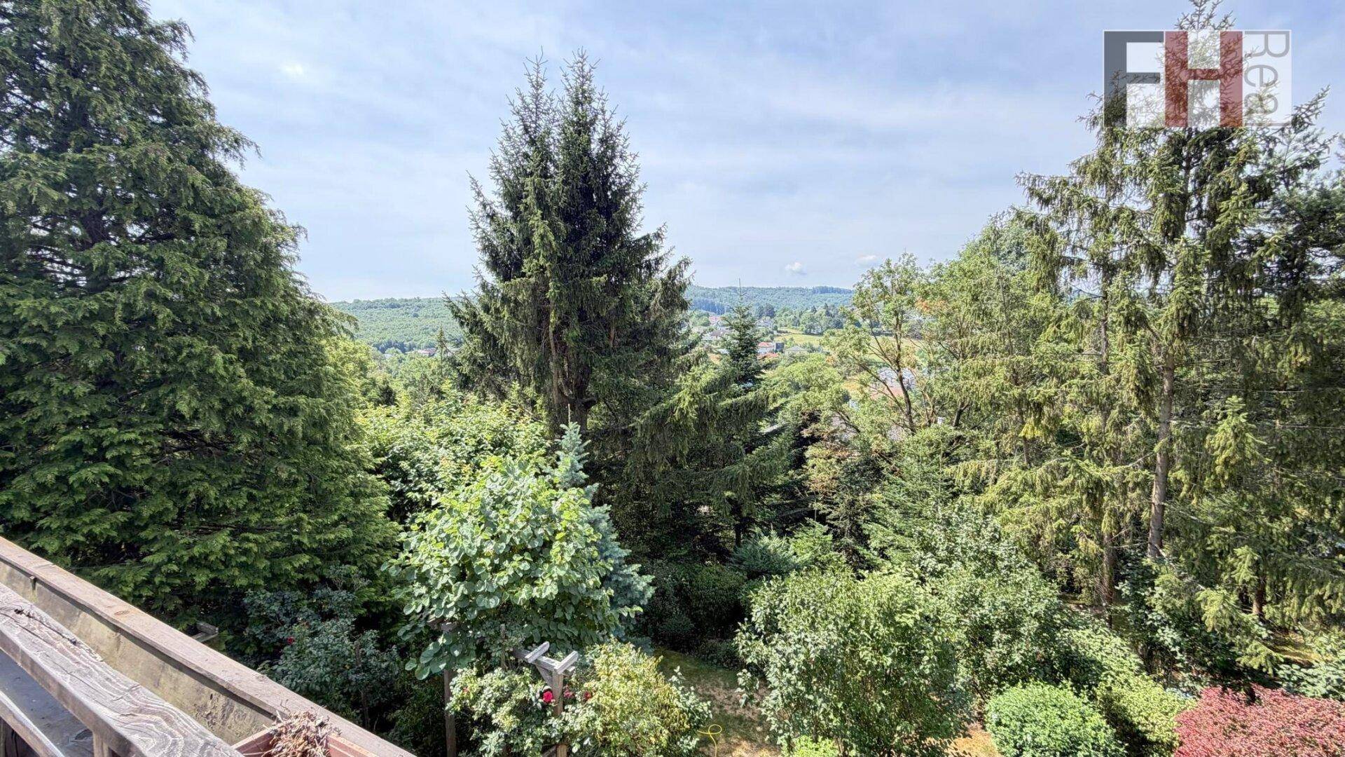 Panoramablick über eine weite, grüne Landschaft mit dichten Wäldern und klarem Himmel.