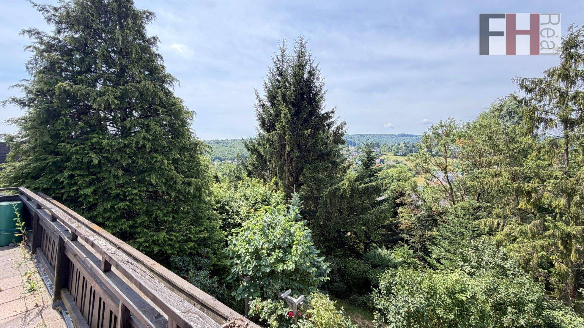 Weitläufiger Blick über eine grüne Hügellandschaft mit vielen Bäumen und bewaldeten Gebieten.
