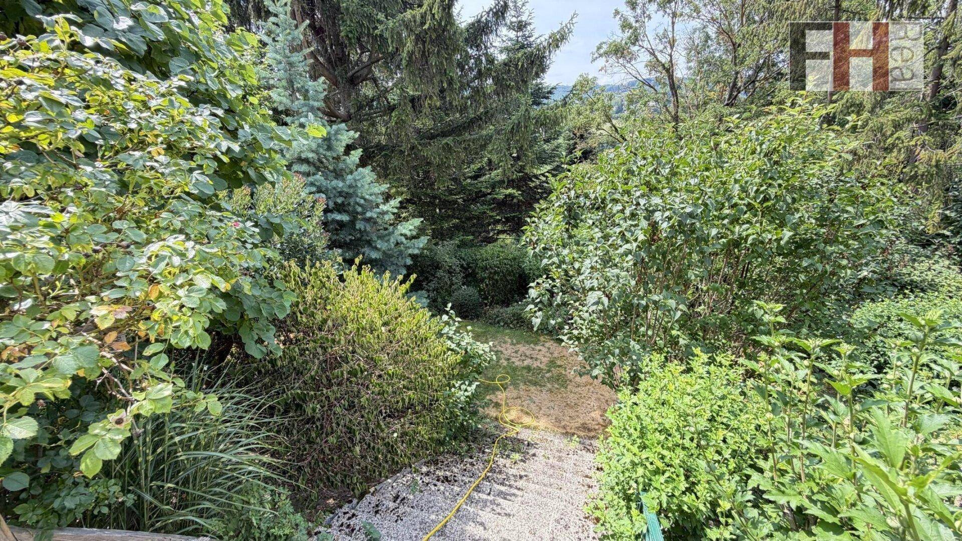 Naturbelassener Gartenbereich mit vielen Bäumen und Sträuchern, der zum Entdecken einlädt.