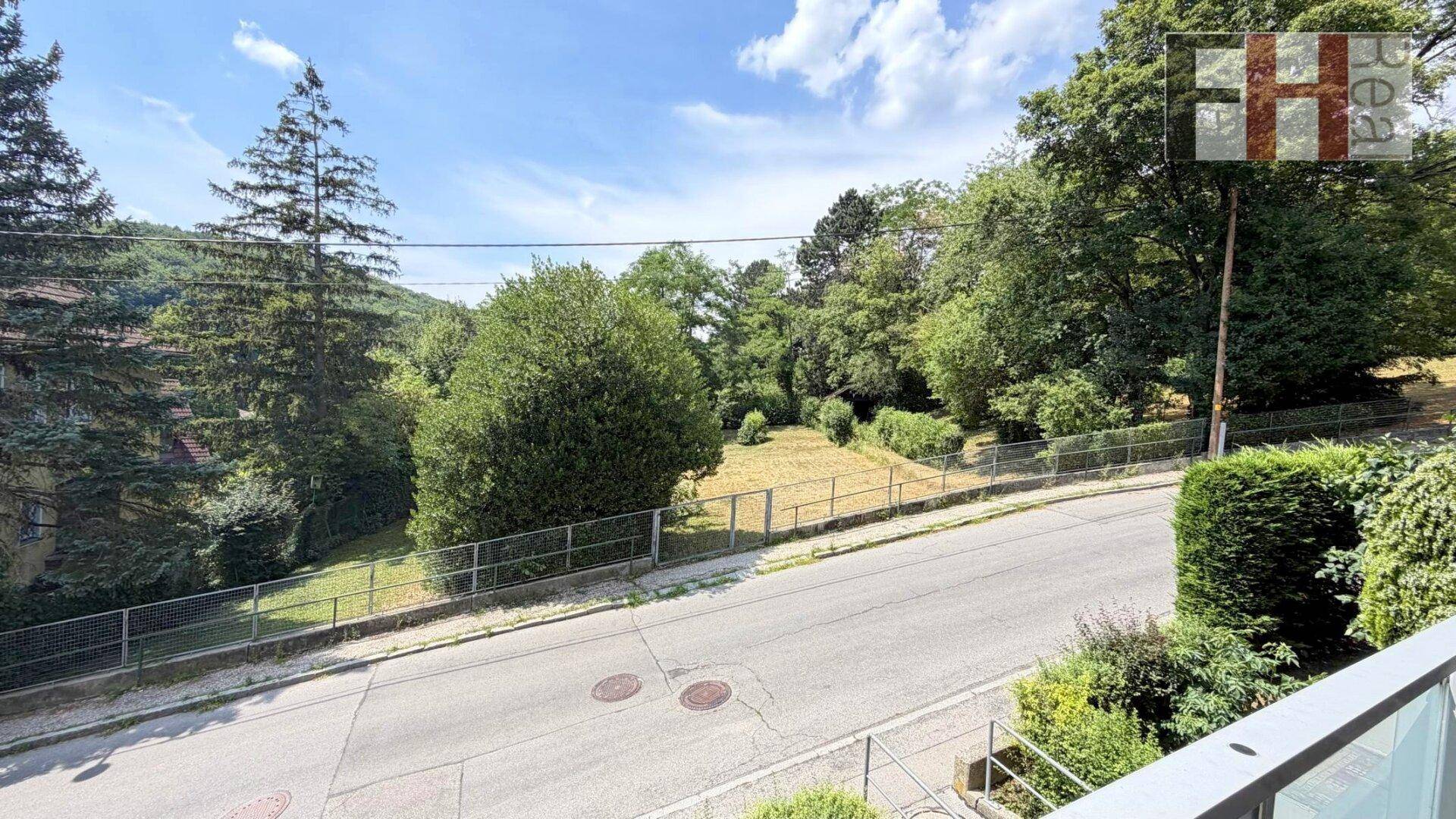 Panoramablick vom Balkon auf die Straße, grüne Bäume und die umliegende Landschaft.