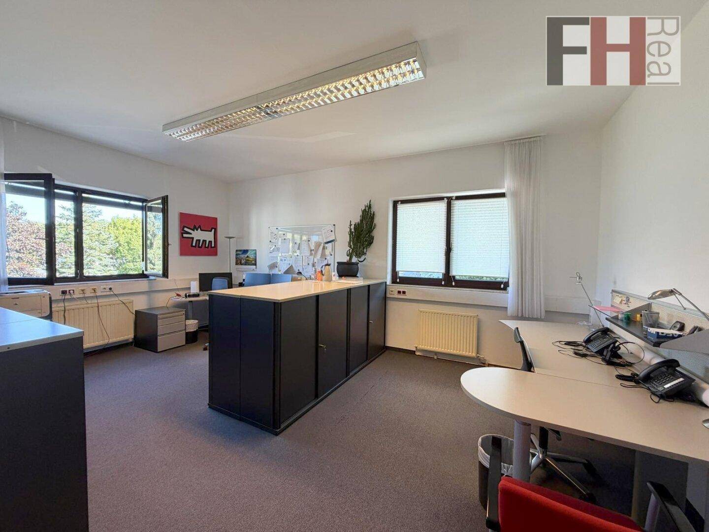 Großes Büro mit mehreren Arbeitsplätzen, dunklen Schränken und Fenstern mit viel Tageslicht.