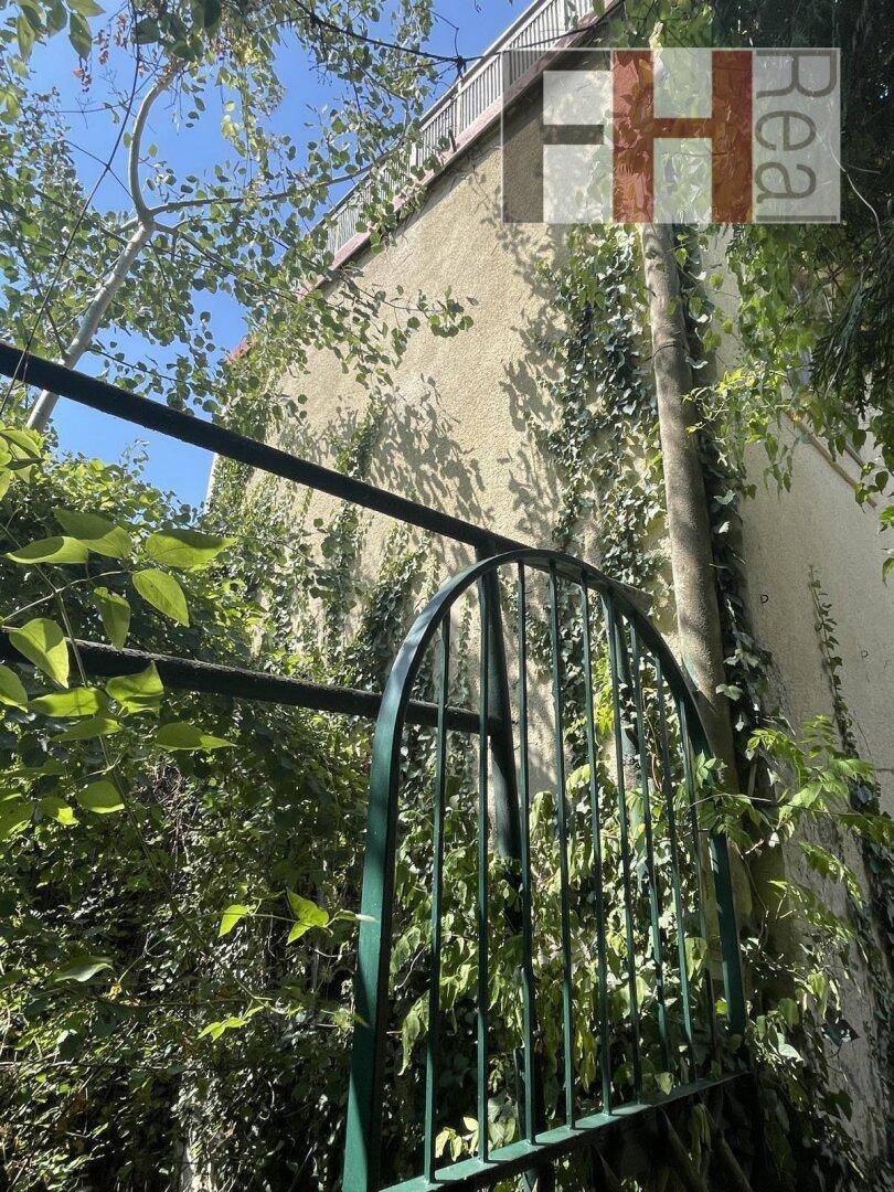 Eine mit Efeu bewachsene Wand und ein altes Metalltor, umgeben von dichter Vegetation.