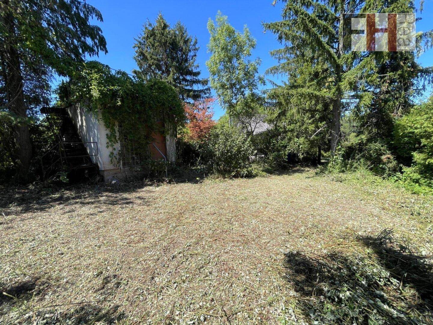 Gartenfläche mit altem Schuppen, umgeben von Bäumen und Sträuchern unter blauem Himmel.