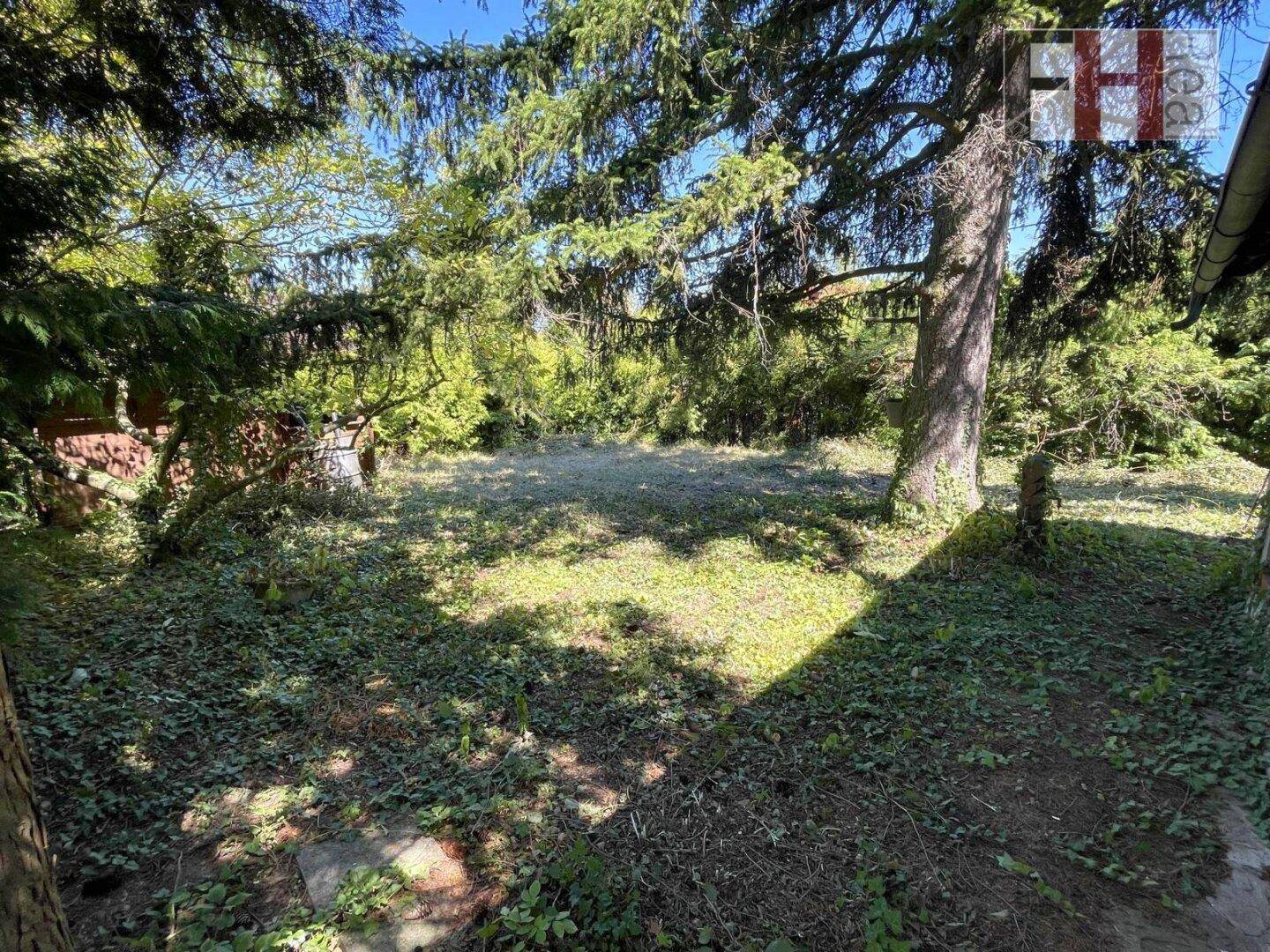 Naturbelassener Gartenbereich mit Bäumen und viel Grün, ideal für Entspannung im Freien.