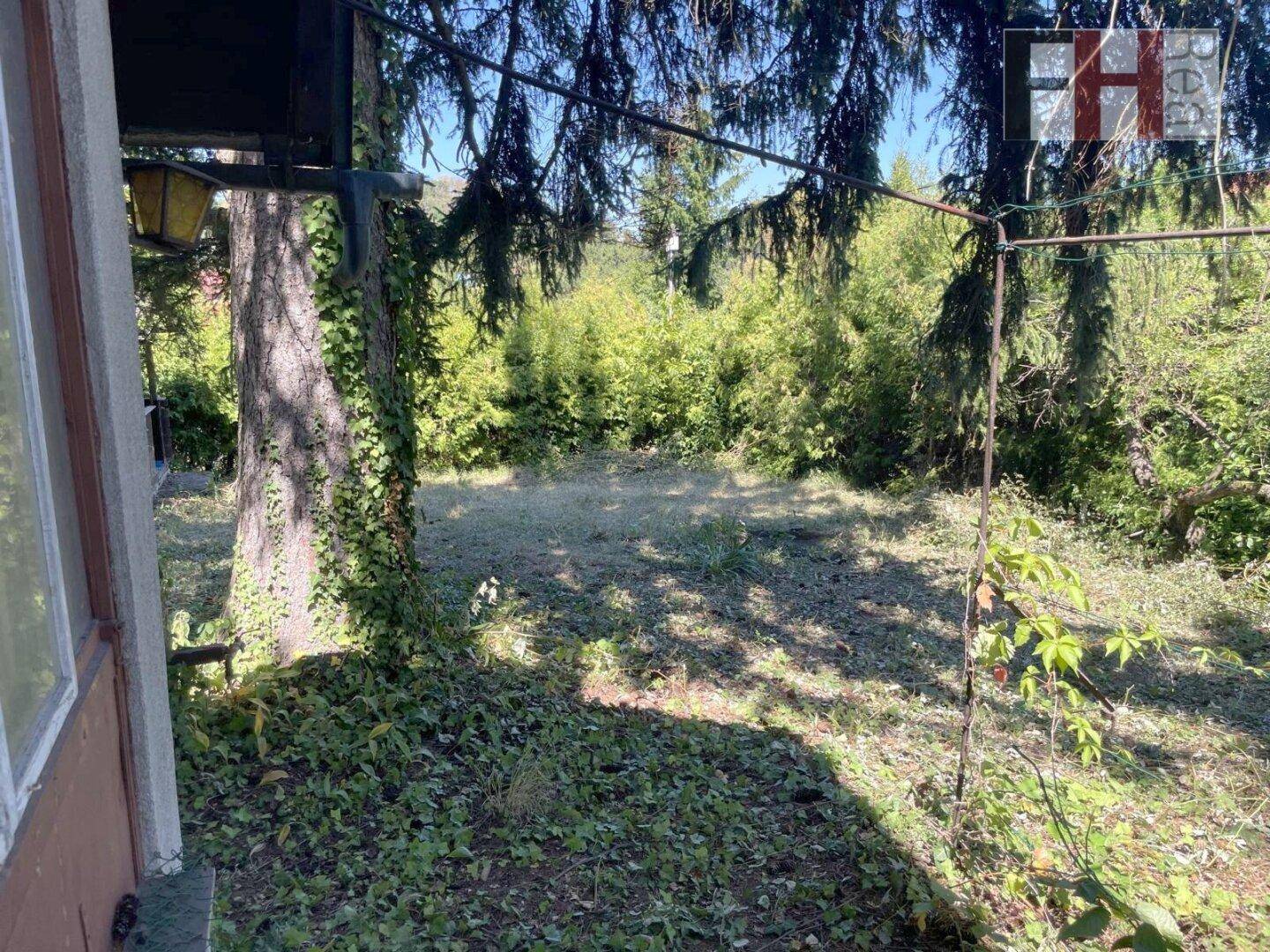 Grüner Gartenbereich mit Bäumen und Blick in die Natur, direkt neben dem Wohnhaus.