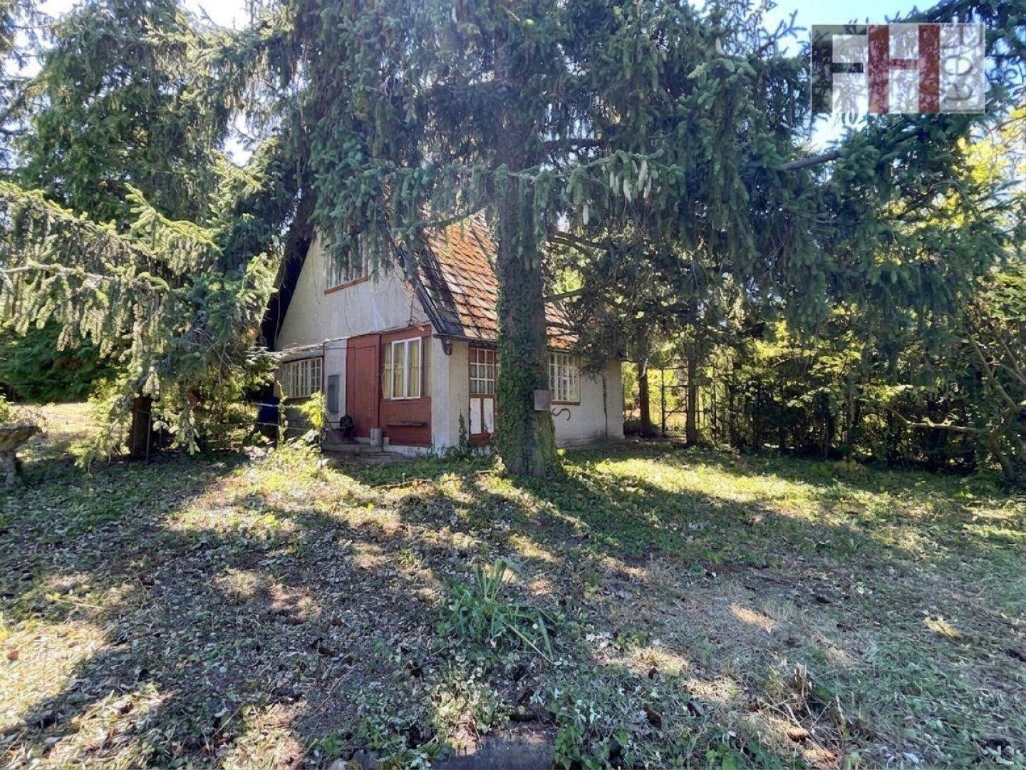 Charmantes kleines Haus mit rotem Dach, umgeben von hohen Bäumen und viel Natur.