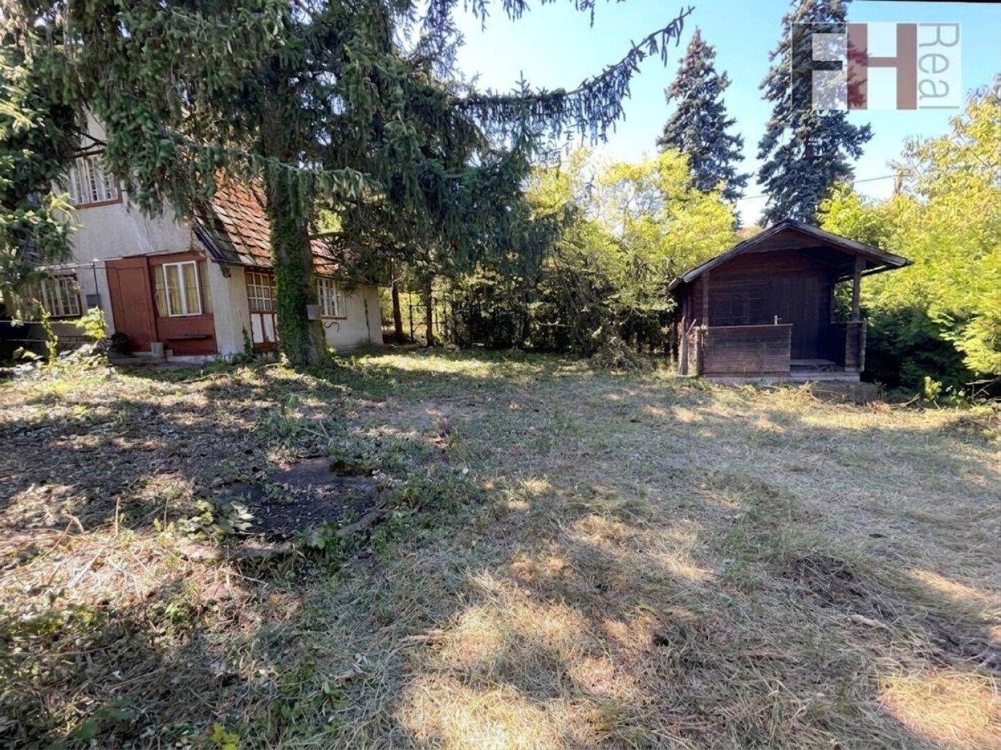 Haus und Holzhütte in einem weitläufigen, grünen Gartenbereich unter hohen Bäumen.