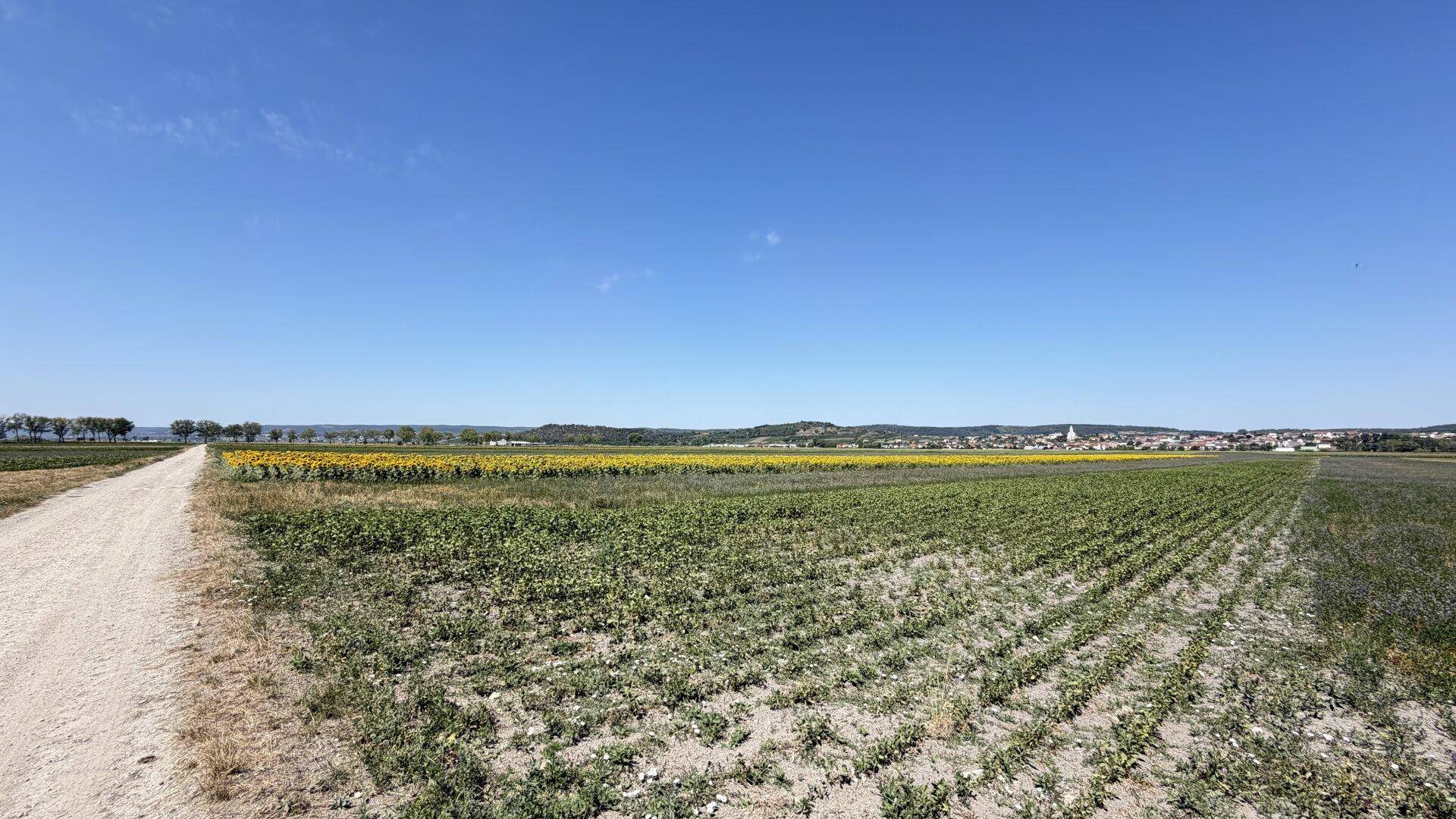 Ländliche Szene mit einem Feldweg, verschiedenen Ackerflächen und einem Dorf am Horizont.