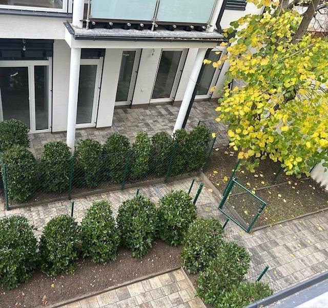 Kleiner, gepflasterter Gartenbereich mit Hecken und einem Baum, von oben fotografiert.