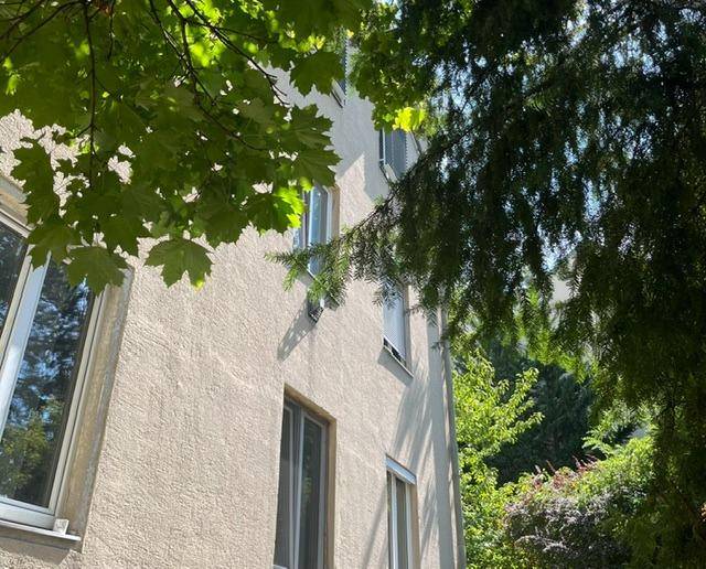 Fassade eines Wohngebäudes mit Fenstern, teilweise von grünen Baumblättern verdeckt.
