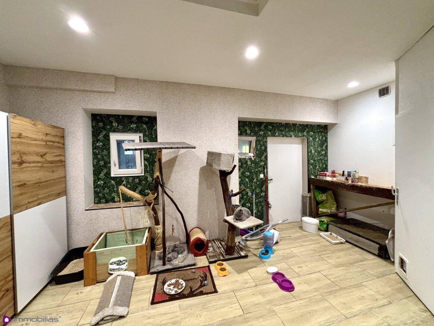 Raum mit Fliesenboden, grüner Mustertapete und Katzenmöbeln.