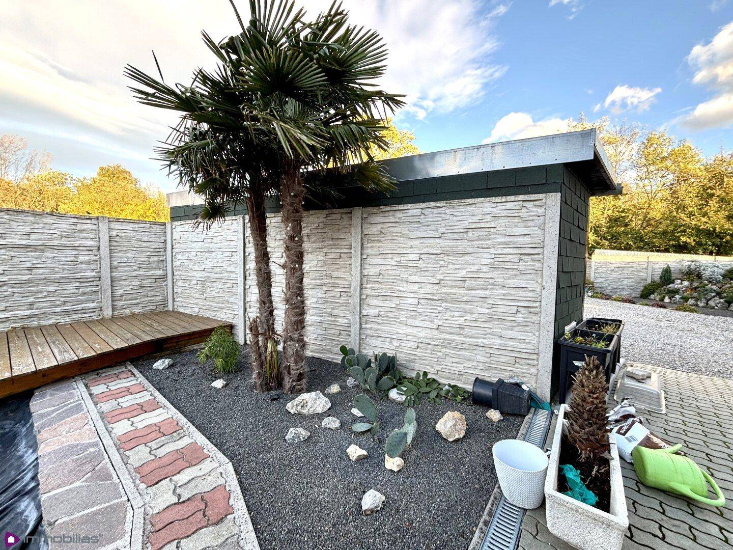 Gartenbereich mit Palmen, Kies und einer Steinmauer, ideal zum Entspannen.