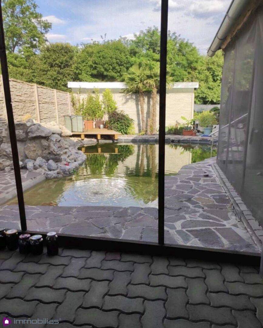 Blick auf den Teichbereich durch eine Verglasung mit Bäumen im Hintergrund.