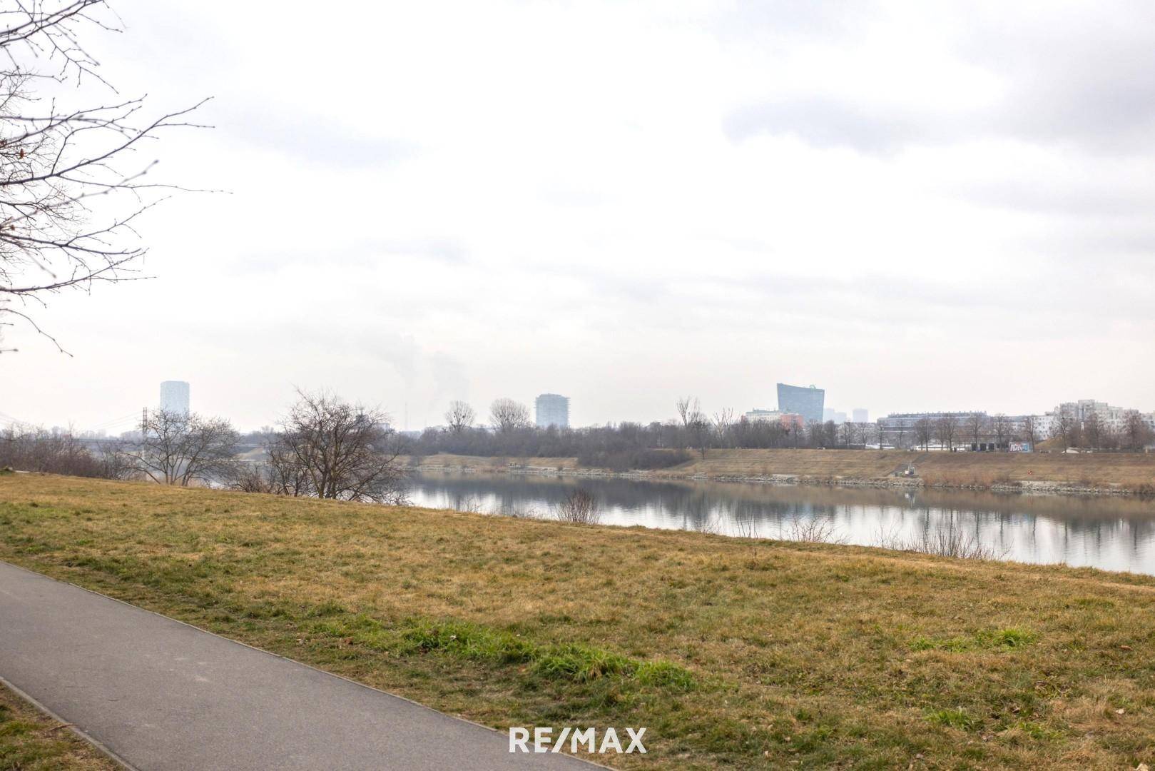 Donauinsel vor der Haustüre