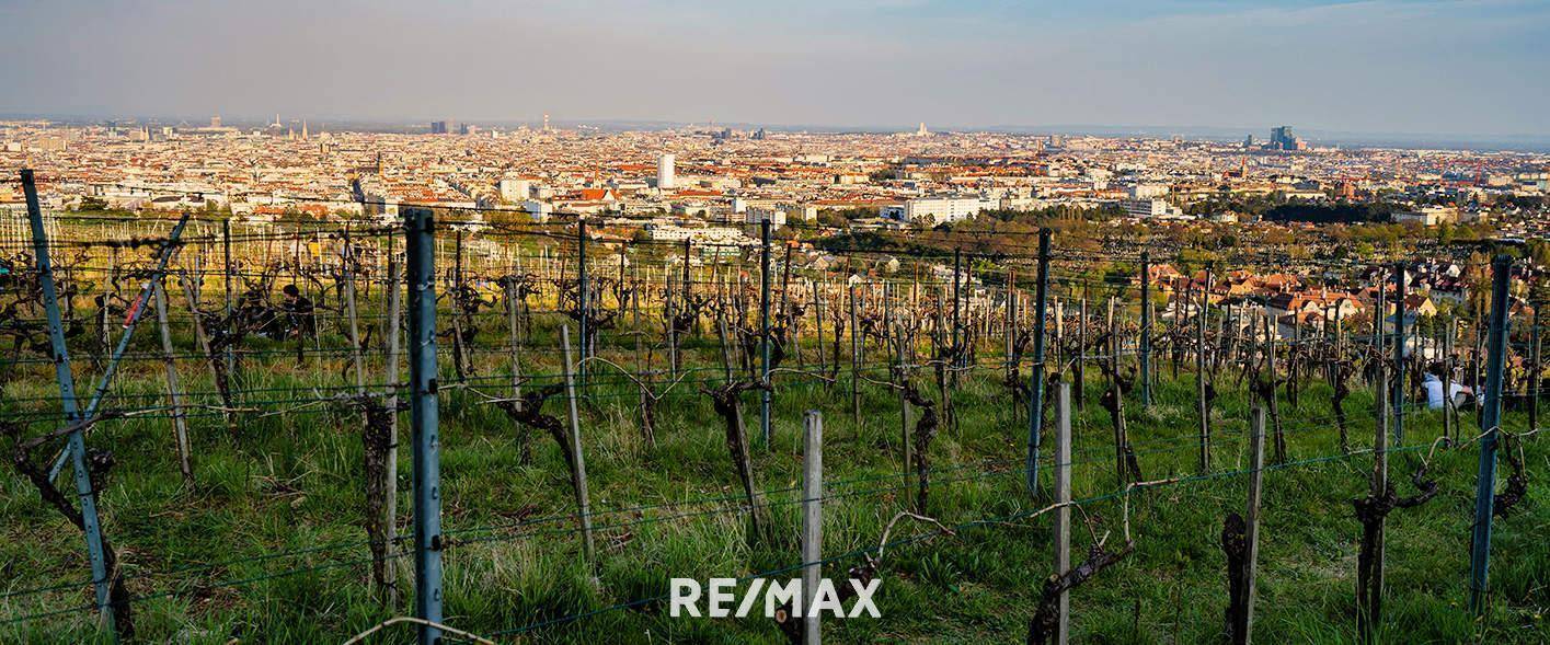 Weinberge 1 Gehminunte