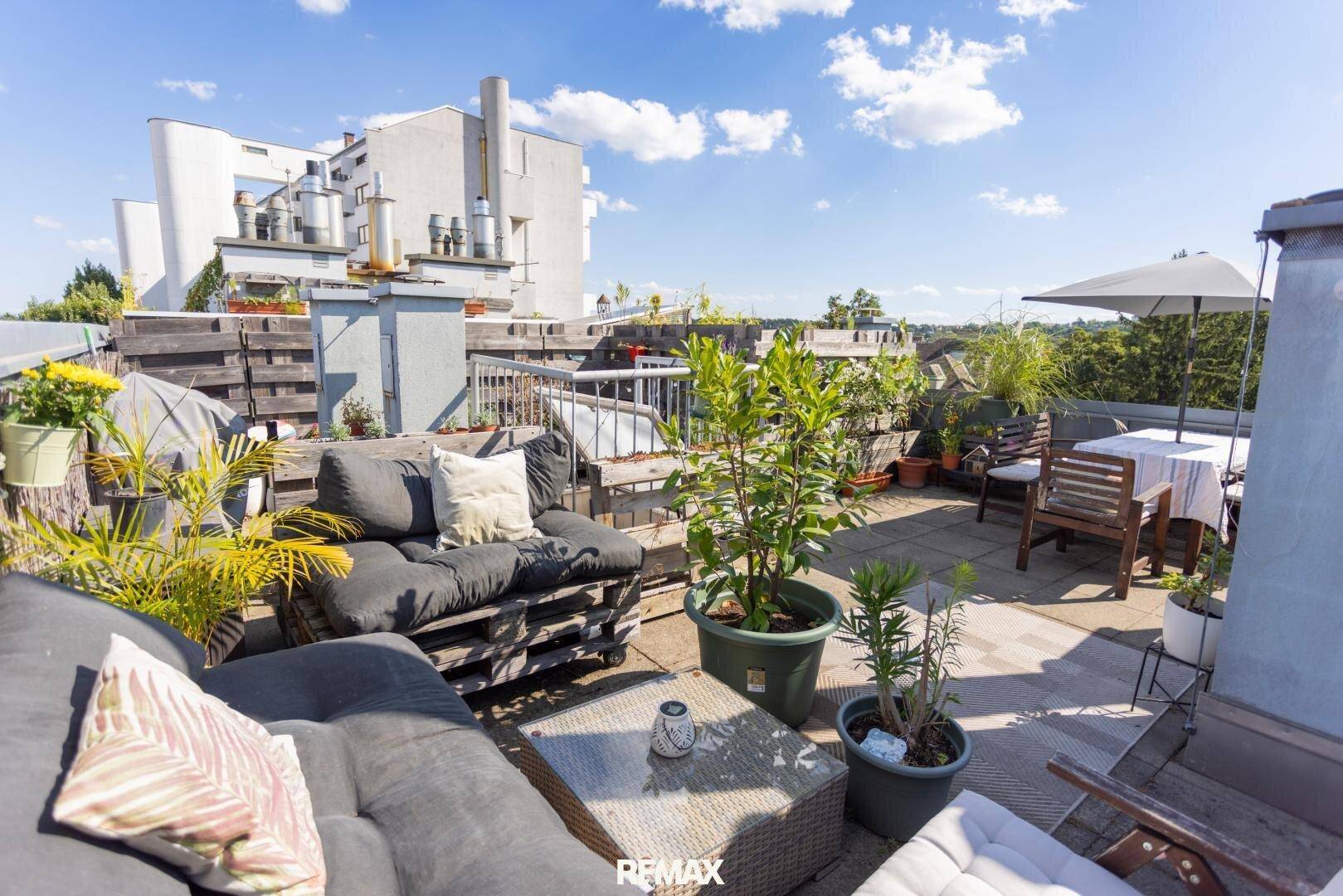 Geräumige Dachterrasse mit bequemen Loungemöbeln, Esstisch und vielen Pflanzen unter blauem Himmel.