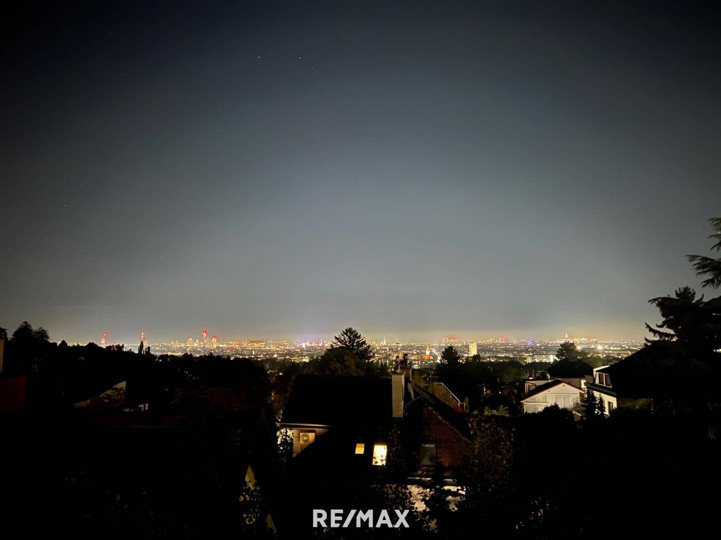 Wien bei Nacht