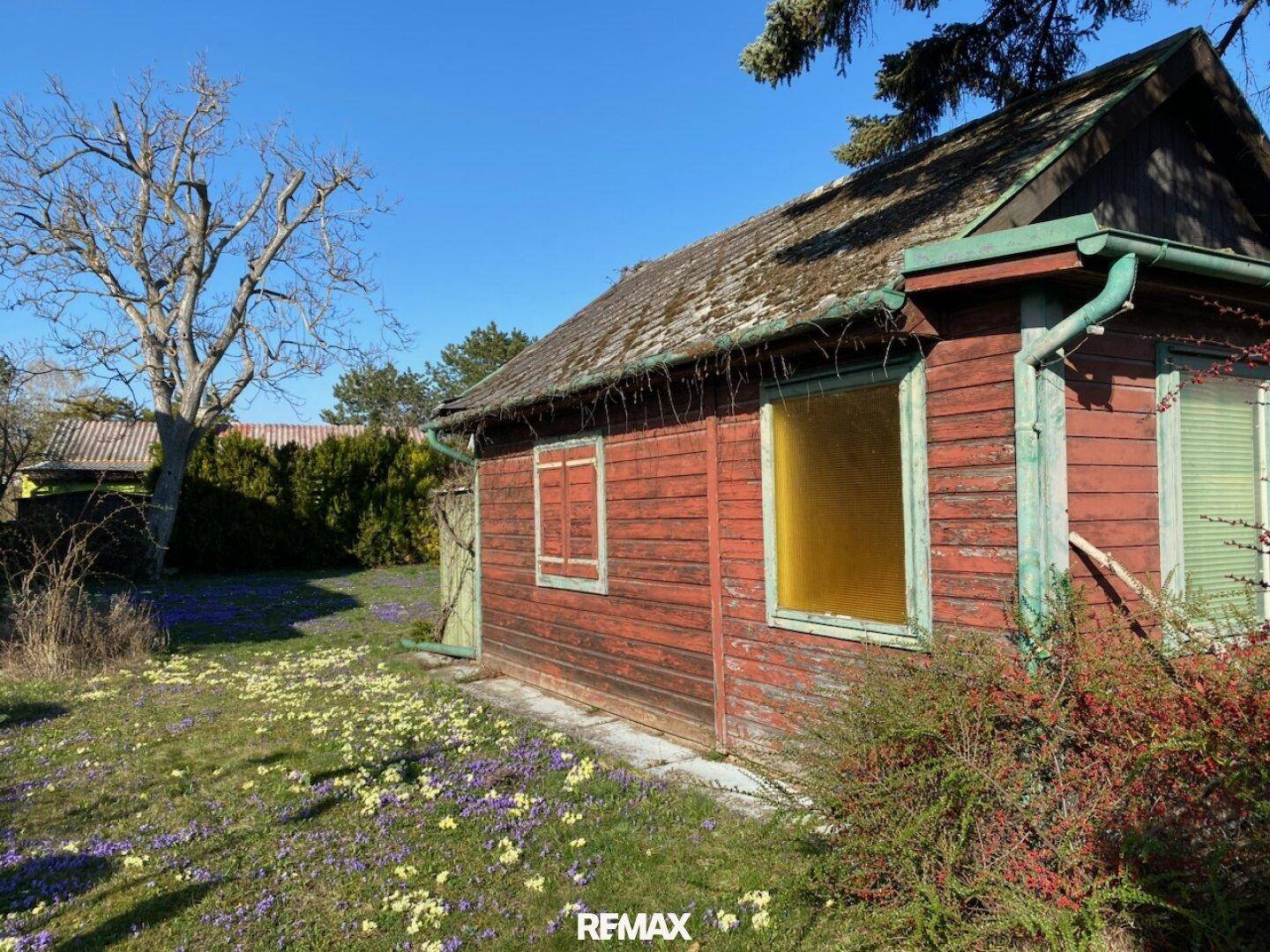Rustikales Holzhaus im Garten mit blühenden Krokussen und altem Baumbestand.