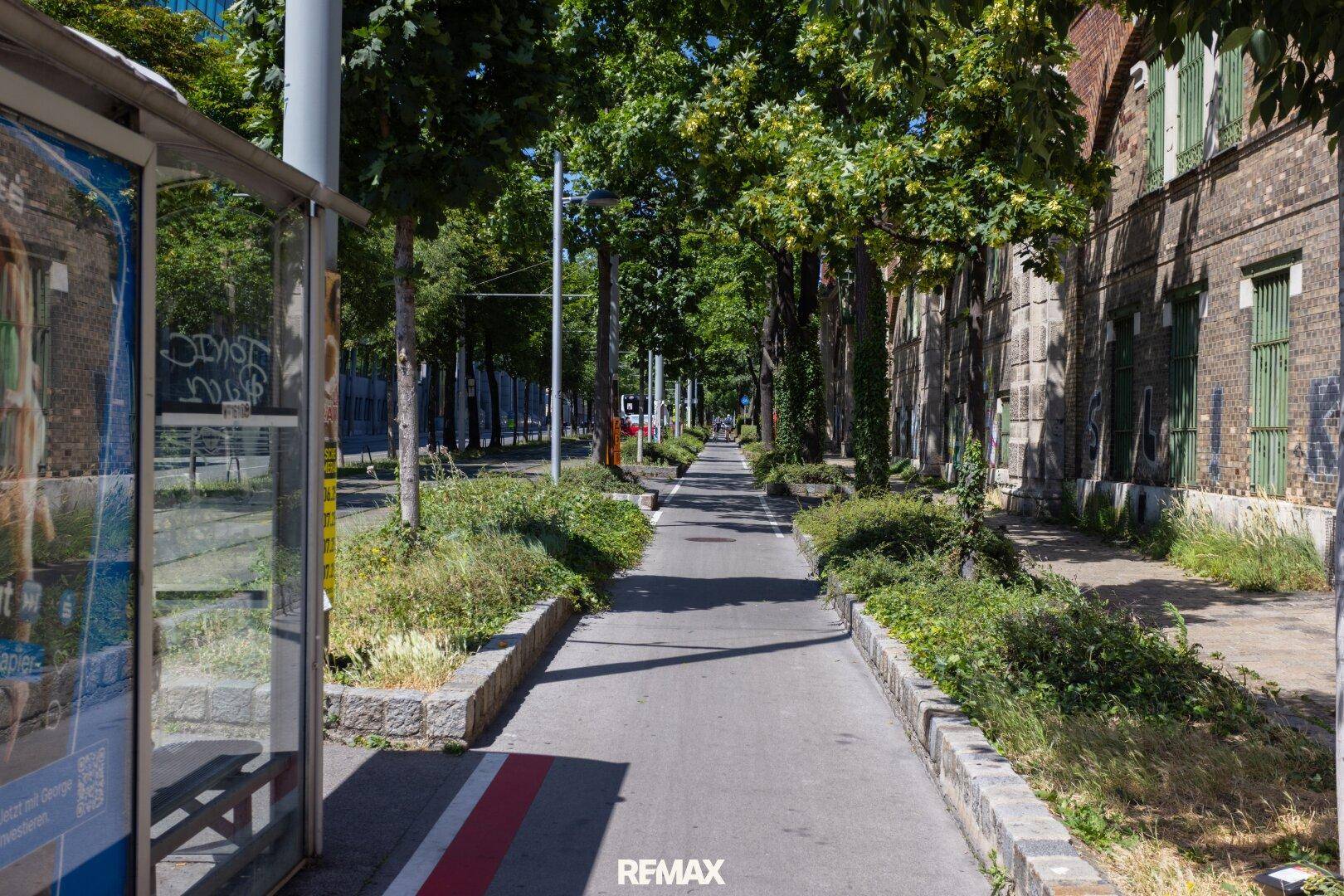 Grüner Gehweg mit vielen Bäumen und einer Bushaltestelle, der zum Spazierengehen in der Stadt einlädt.