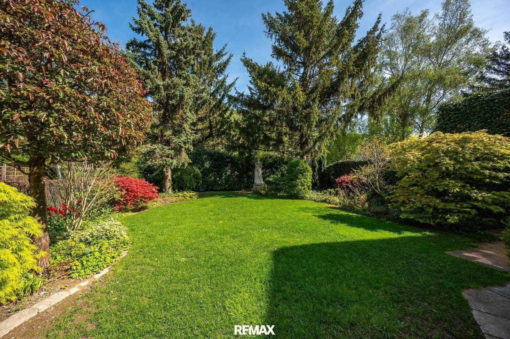 Weitläufiger Garten mit üppigem Grün, hohen Nadelbäumen und sonniger Rasenfläche.