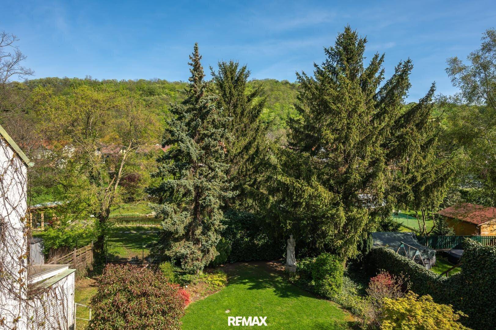 Weitläufiger Blick auf den grünen Gartenbereich mit hohen Bäumen und umliegender Natur.