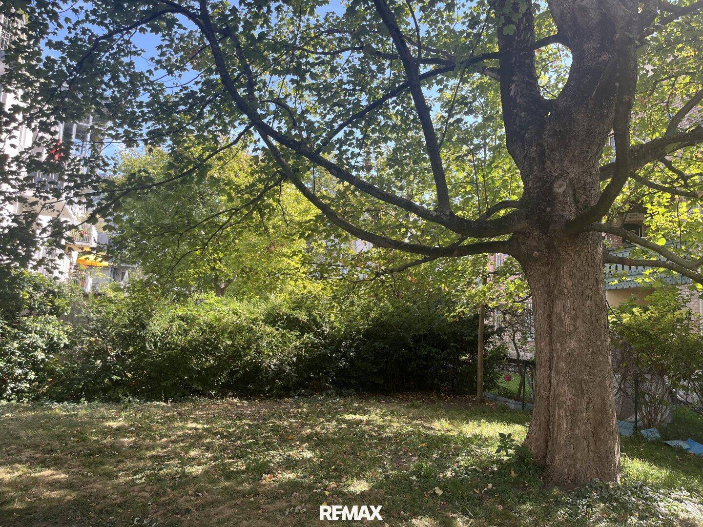 Großer, grüner Gartenbereich mit altem Baumbestand und viel Platz im Freien.