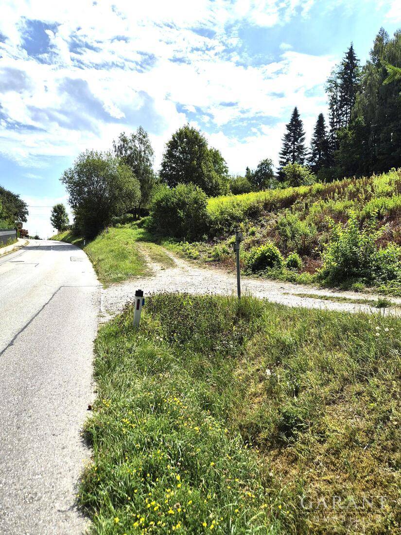 Landstraße führt bergauf mit einem Feldweg, umgeben von grüner Vegetation und Bäumen.