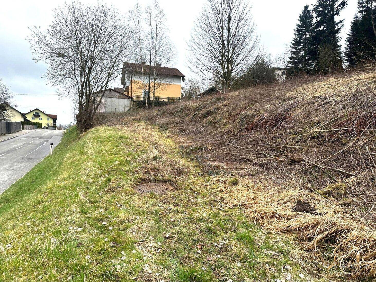 Hanglage mit spärlicher Vegetation und einer Straße, Häuser und kahle Bäume im Hintergrund.
