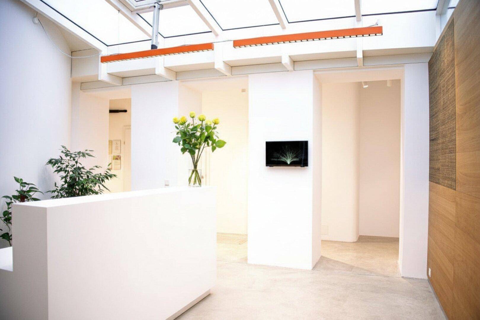 hochwertiges Studio mit vielseitigen Nutzungsmöglichkeiten – ideal als Büro oder für Yoga oder Tanzstudio - Ansicht 5