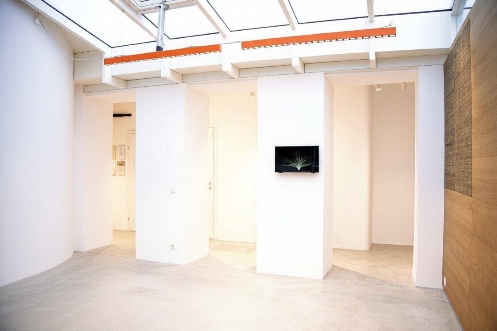 hochwertiges Studio mit vielseitigen Nutzungsmöglichkeiten – ideal als Büro oder für Yoga oder Tanzstudio - Ansicht 6