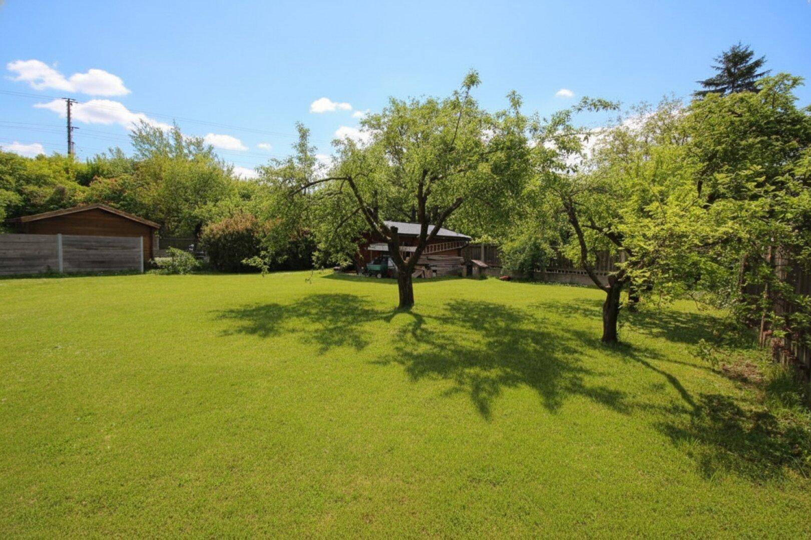Sonniger Garten mit großen Bäumen, die Schatten auf den grünen Rasen werfen.